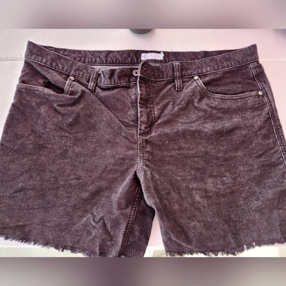 Carve Designs Shorts - size 14